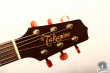 Takamine TDP-012-SAS, Japan 2007