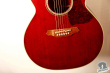 Takamine TDP-500-SP-WR, Japan 2007