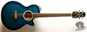 Takamine NPT-110, Japan '95