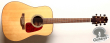 Takamine GD93 NAT