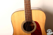 Takamine GD93 NAT