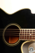 Takamine PT-105, Japan '85