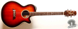 Takamine PT-106, Japan '94