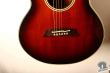 Takamine PT-106, Japan '94