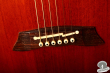Takamine PT-106, Japan '94