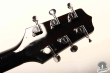 Takamine PT-106, Japan '98