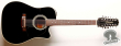 Takamine PT-209-12 BL, Japan '95