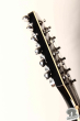 Takamine PT-209-12 BL, Japan '95
