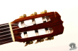 Takamine Elite G-150, Japan 197х