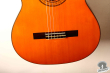 Takamine Elite G-150, Japan 197х