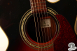 Takamine DSP-015 TBS, Japan 2000