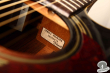 Takamine DSP-015 TBS, Japan 2000