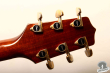 Takamine DSP-015 TBS, Japan 2000