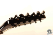 Takamine PT-106-6, Japan '95