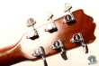 Takamine PT-206, Japan '84