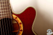 Takamine PT-508, Japan '95