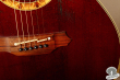 Takamine PT-508, Japan '95