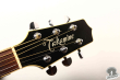 Takamine TDP-512-BL, Japan 2006