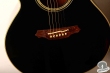 Takamine TDP-512-BL, Japan 2006