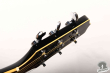 Takamine TDP-512-BL, Japan 2006