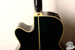Takamine TDP-512-BL, Japan 2006