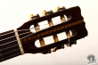 Takamine TG-001, Japan 197x