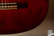 Takamine TG-001, Japan 197x