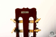 Takamine TG-001, Japan 197x