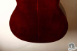 Takamine TG-001, Japan 197x
