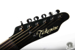 Takamine NPT-110-6, Japan '90
