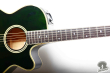 Takamine NPT-110-6, Japan '90