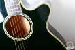 Takamine NPT-110-6, Japan '90
