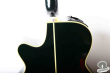 Takamine NPT-110-6, Japan '90