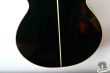 Takamine NPT-110-6, Japan '90
