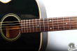 Takamine P-40, Japan