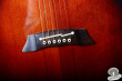 Takamine PT-108, Japan '93