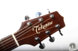 Takamine TSA-500, Japan 2001