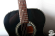 Takamine TSA-500, Japan 2001