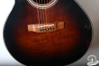 Takamine TSA-500, Japan 2001
