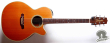 Takamine NPT-510, Japan '93