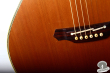 Takamine NPT-510, Japan '93