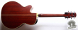 Takamine NPT-510, Japan '93