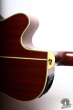 Takamine NPT-510, Japan '93