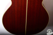 Takamine NPT-510, Japan '93