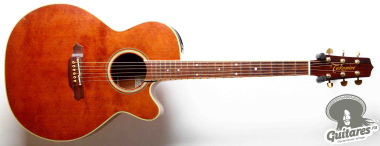 Takamine TDP-500-SP, Japan 2004