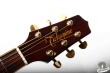 Takamine TDP-500-SP, Japan 2004