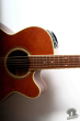 Takamine TDP-500-SP, Japan 2004