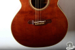 Takamine TDP-500-SP, Japan 2004