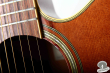 Takamine TDP-500-SP, Japan 2004