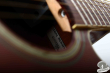 Takamine TDP-500-SP, Japan 2004